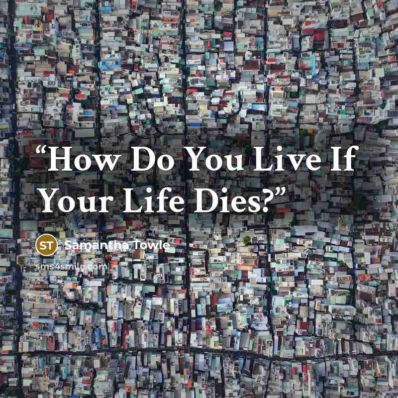 “How Do You Live If Your Life Dies?” quote by Samantha Towle