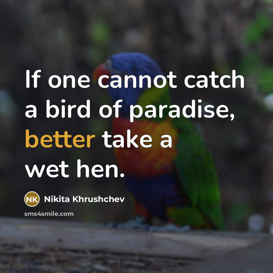 “If one cannot catch a bird of paradise, better take a wet hen.” quote by Nikita Khrushchev