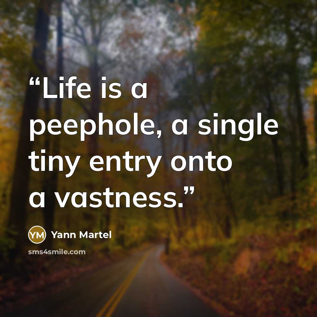 “Life is a peephole, a single tiny entry onto a vastness.” quote by Yann Martel