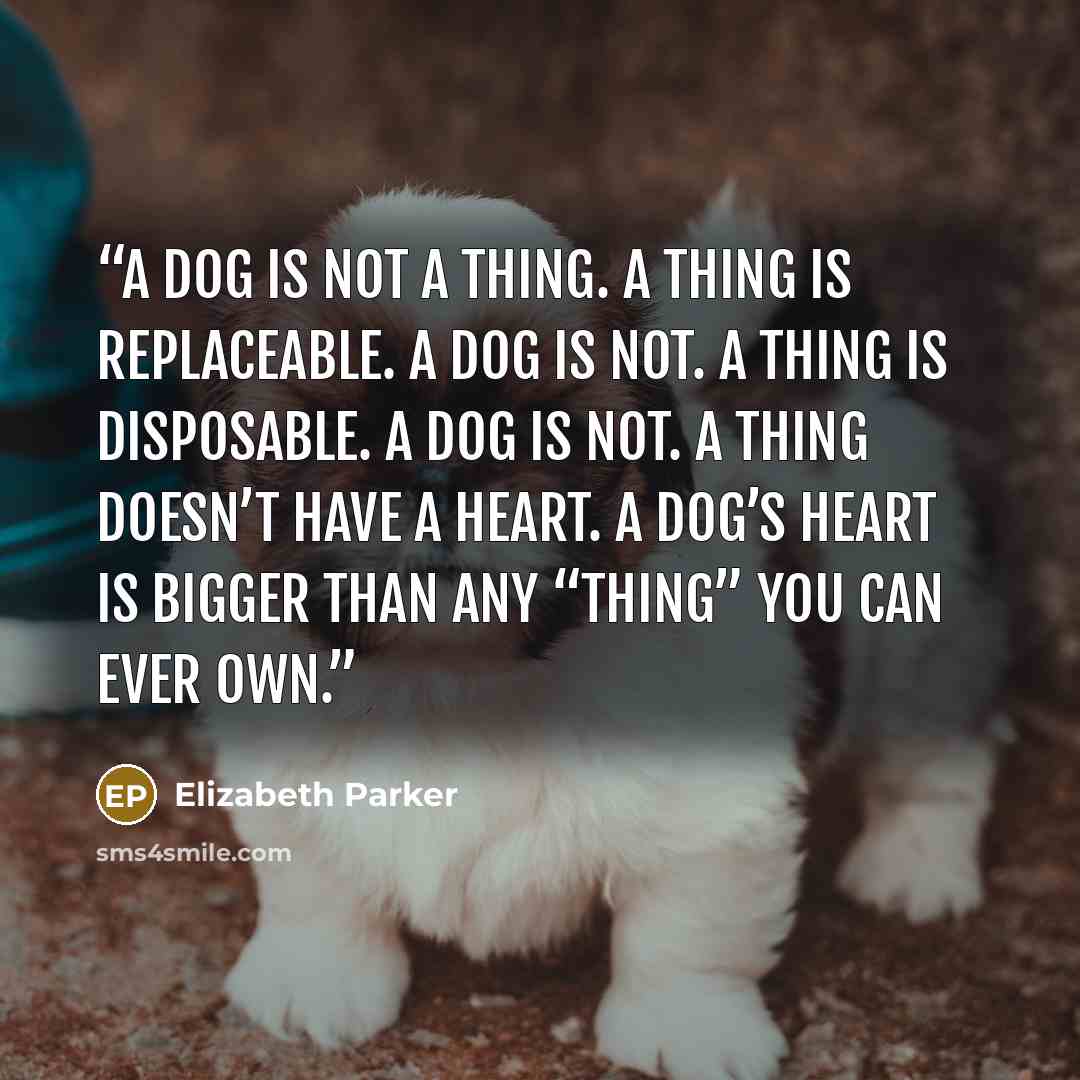 “A dog is not a thing. A thing is replaceable. A dog is not. A thing is disposable. A dog is not. A thing doesn’t have a heart. A dog’s heart is bigger than any “thing” you can ever own.” quote by Elizabeth Parker