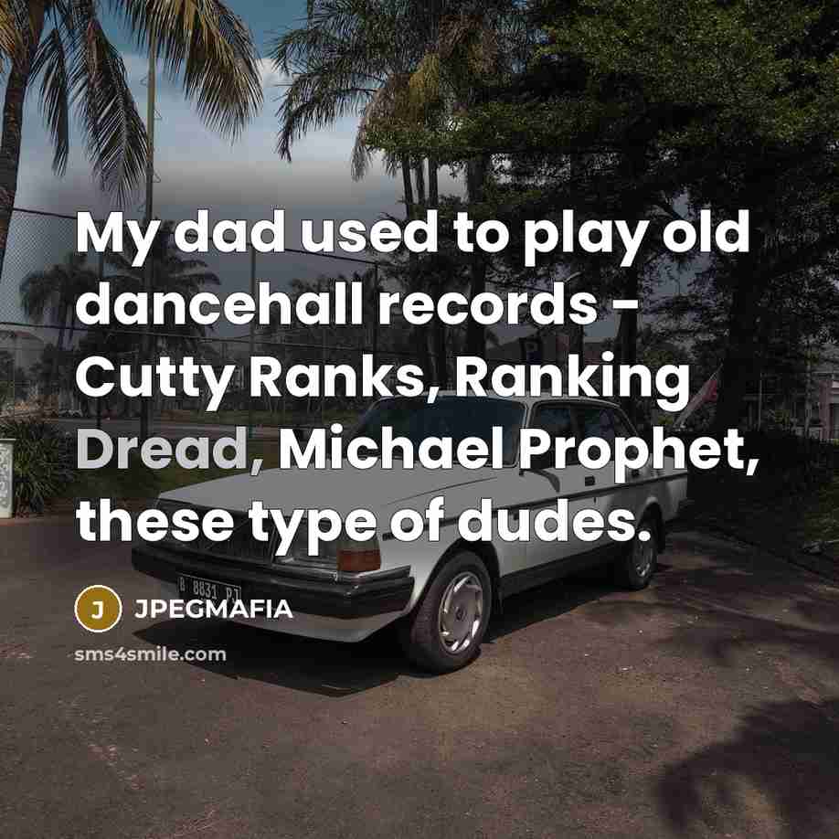 “My dad used to play old dancehall records - Cutty Ranks, Ranking Dread, Michael Prophet, these type of dudes.” quote by JPEGMAFIA