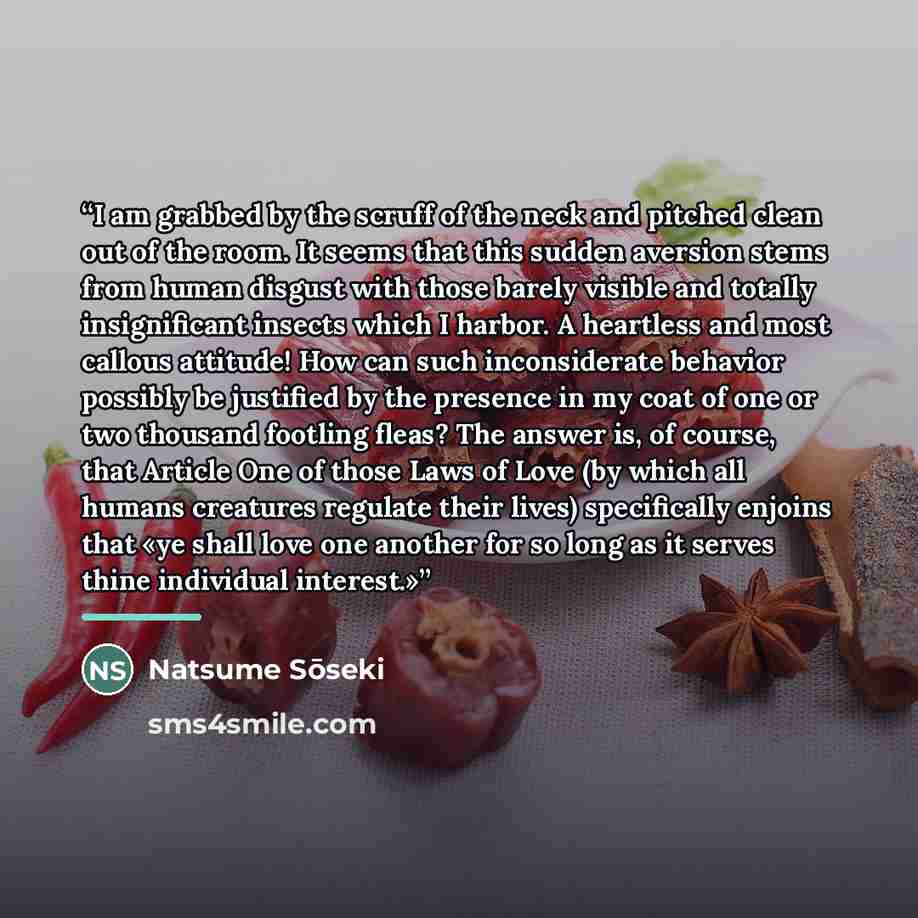 “I am grabbed by the scruff of the neck and pitched clean out of the room. It seems that this sudden aversion stems from human disgust with those barely visible and totally insignificant insects which I harbor. A heartless and most callous attitude! How can such inconsiderate behavior possibly be…” quote by Natsume Soseki