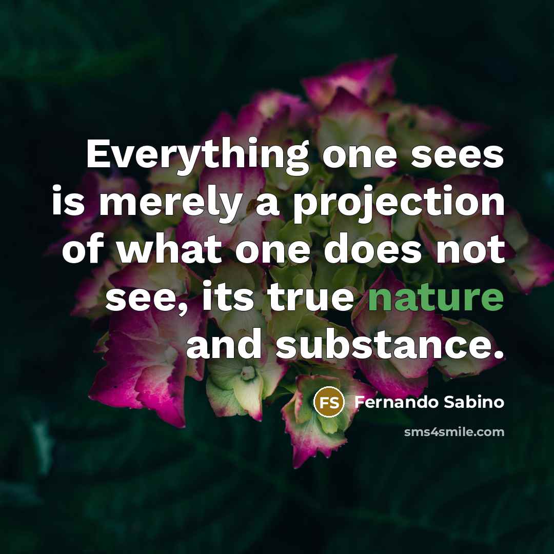 “Everything one sees is merely a projection of what one does not see, its true nature and substance.” quote by Fernando Sabino