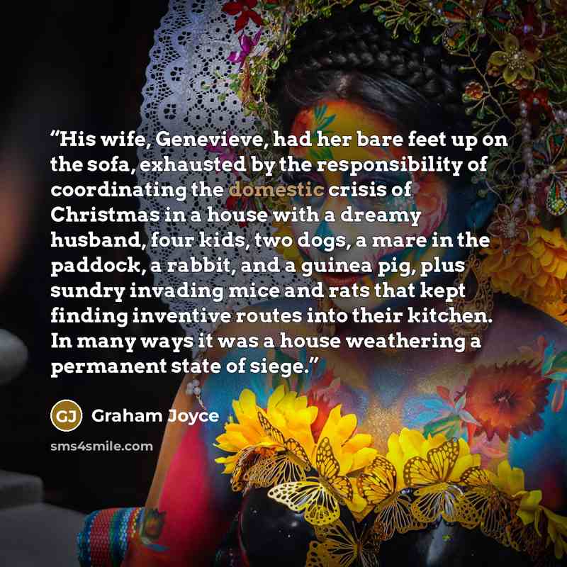 “His wife, Genevieve, had her bare feet up on the sofa, exhausted by the responsibility of coordinating the domestic crisis of Christmas in a house with a dreamy husband, four kids, two dogs, a mare in the paddock, a rabbit, and a guinea pig, plus sundry invading mice and rats that kept finding…” quote by Graham Joyce