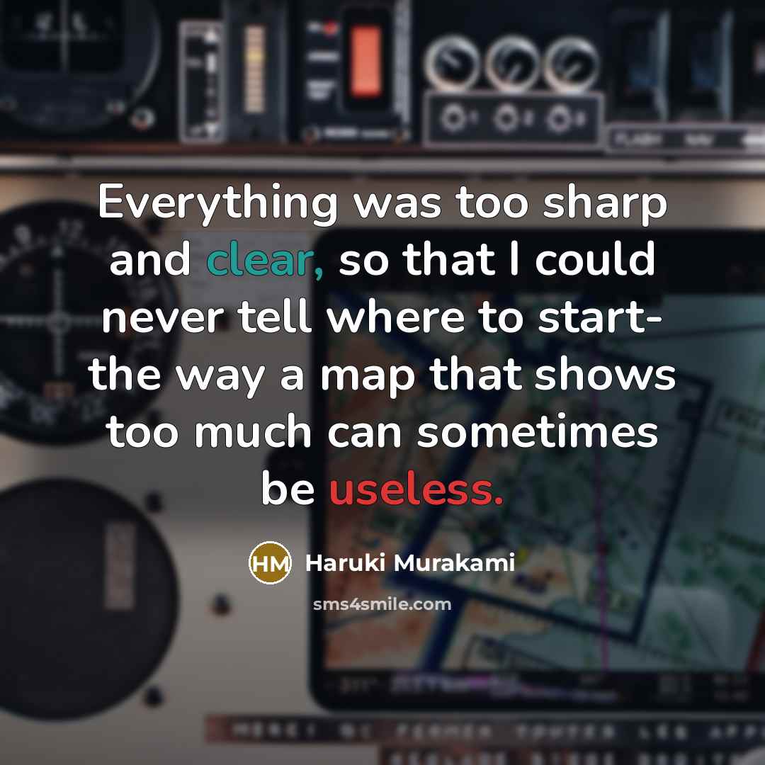 “Everything was too sharp and clear, so that I could never tell where to start- the way a map that shows too much can sometimes be useless.” quote by Haruki Murakami
