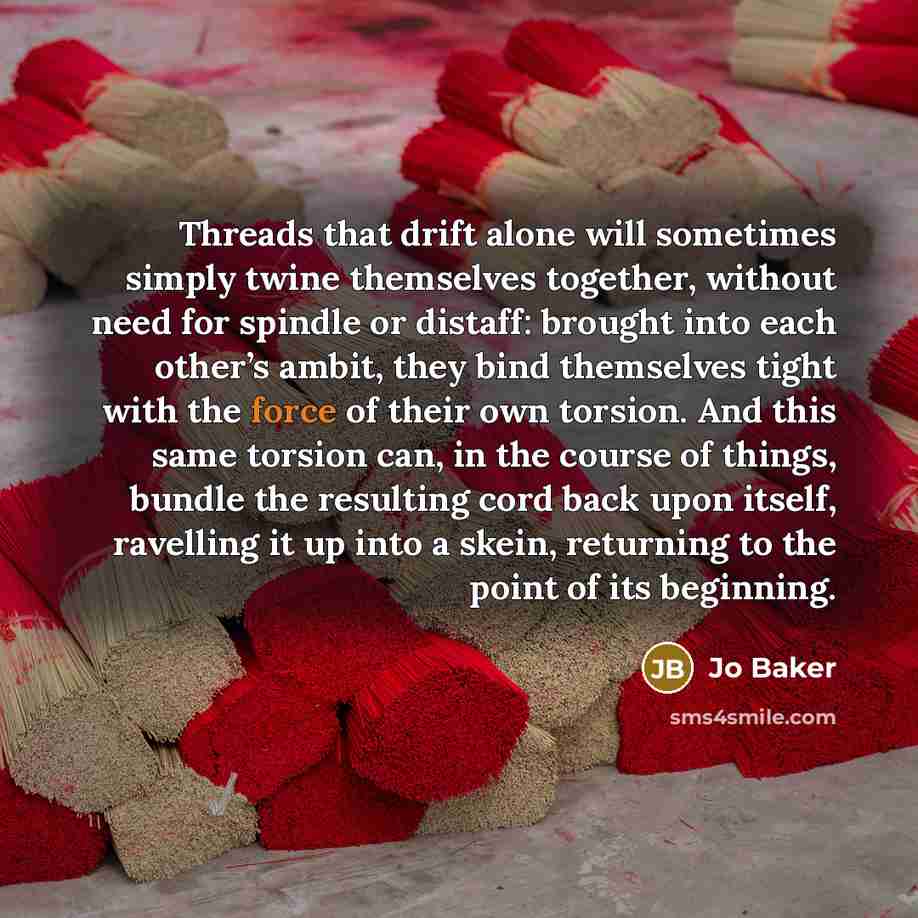 “Threads that drift alone will sometimes simply twine themselves together, without need for spindle or distaff: brought into each other’s ambit, they bind themselves tight with the force of their own torsion. And this same torsion can, in the course of things, bundle the resulting cord back upon…” quote by Jo Baker