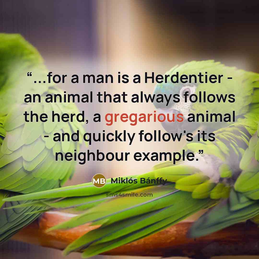 “...for a man is a Herdentier - an animal that always follows the herd, a gregarious animal - and quickly follow's its neighbour example.” quote by Miklós Bánffy