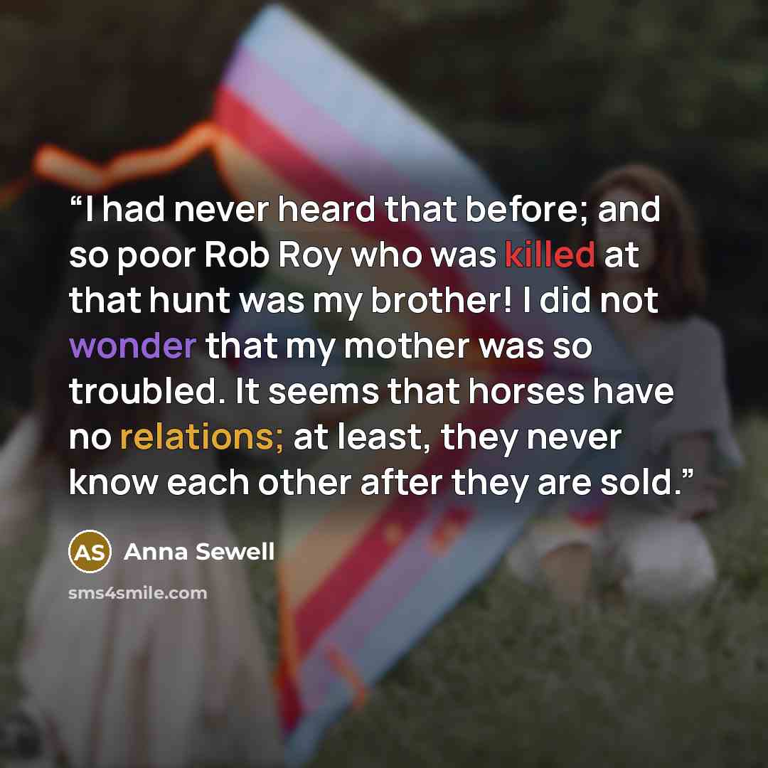 “I had never heard that before; and so poor Rob Roy who was killed at that hunt was my brother! I did not wonder that my mother was so troubled. It seems that horses have no relations; at least, they never know each other after they are sold.” quote by Anna Sewell