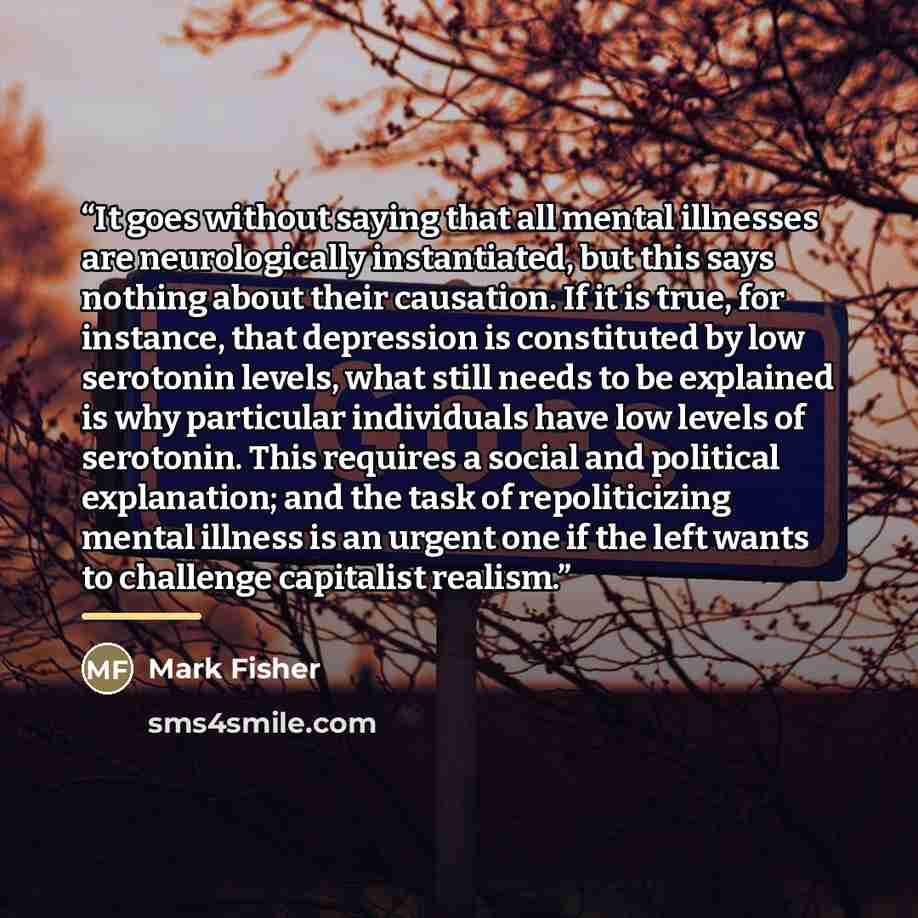 “It goes without saying that all mental illnesses are neurologically instantiated, but this says nothing about their causation. If it is true, for instance, that depression is constituted by low serotonin levels, what still needs to be explained is why particular individuals have low levels of…” quote by Mark Fisher