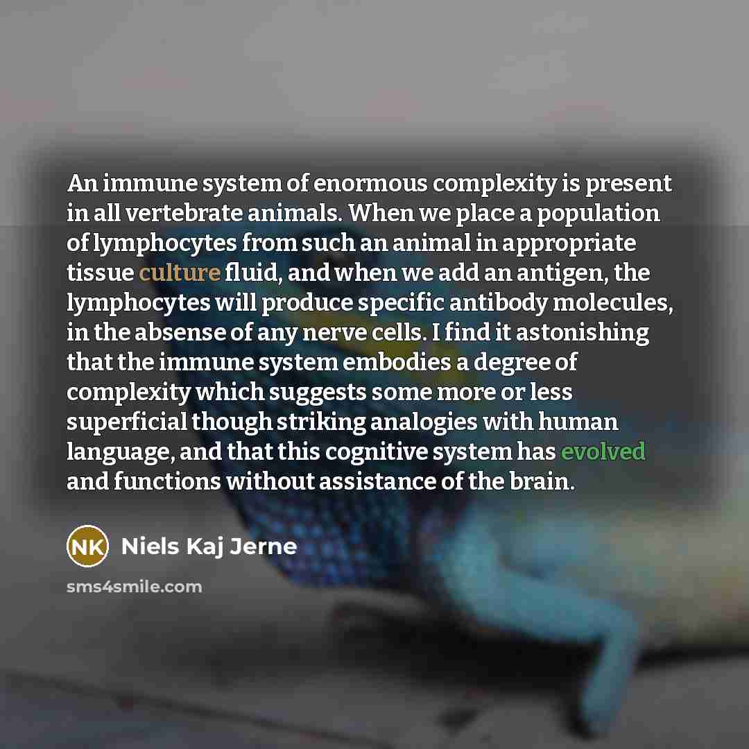 “An immune system of enormous complexity is present in all vertebrate animals. When we place a population of lymphocytes from such an animal in appropriate tissue culture fluid, and when we add an antigen, the lymphocytes will produce specific antibody molecules, in the absense of any nerve cells…” quote by Niels Kaj Jerne