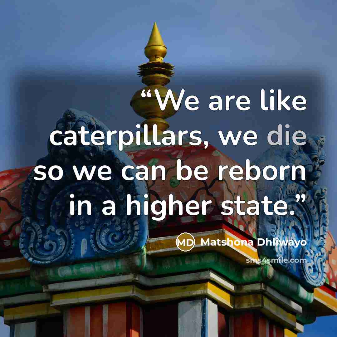 “We are like caterpillars, we die so we can be reborn in a higher state.” quote by Matshona Dhliwayo