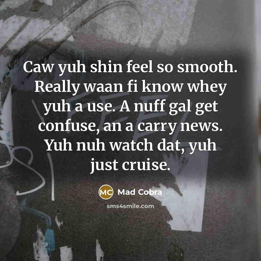 “Caw yuh shin feel so smooth. Really waan fi know whey yuh a use. A nuff gal get confuse, an a carry news. Yuh nuh watch dat, yuh just cruise.” quote by Mad Cobra