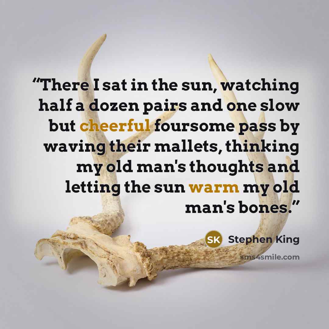 “There I sat in the sun, watching half a dozen pairs and one slow but cheerful foursome pass by waving their mallets, thinking my old man's thoughts and letting the sun warm my old man's bones.” quote by Stephen King