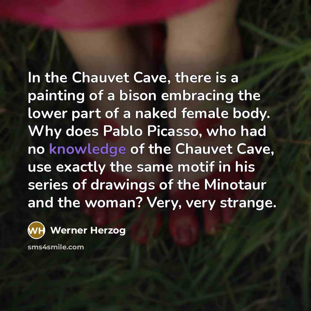 “In the Chauvet Cave, there is a painting of a bison embracing the lower part of a naked female body. Why does Pablo Picasso, who had no knowledge of the Chauvet Cave, use exactly the same motif in his series of drawings of the Minotaur and the woman? Very, very strange.” quote by Werner Herzog