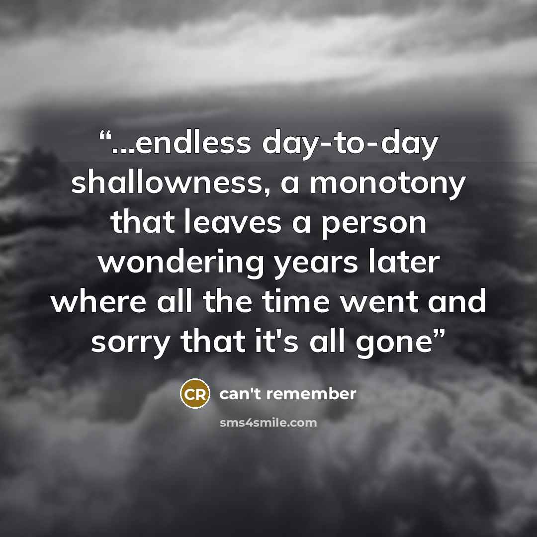 “...endless day-to-day shallowness, a monotony that leaves a person wondering years later where all the time went and sorry that it's all gone” quote by can't remember