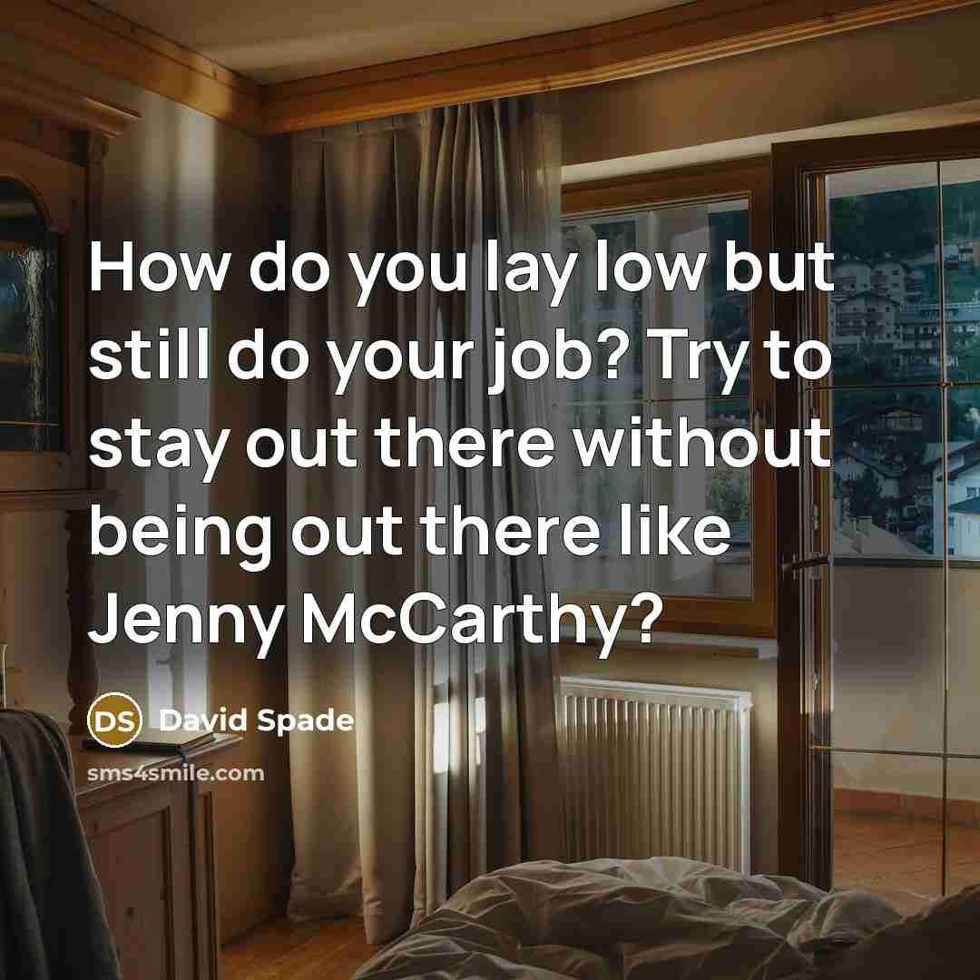 “How do you lay low but still do your job? Try to stay out there without being out there like Jenny McCarthy?” quote by David Spade