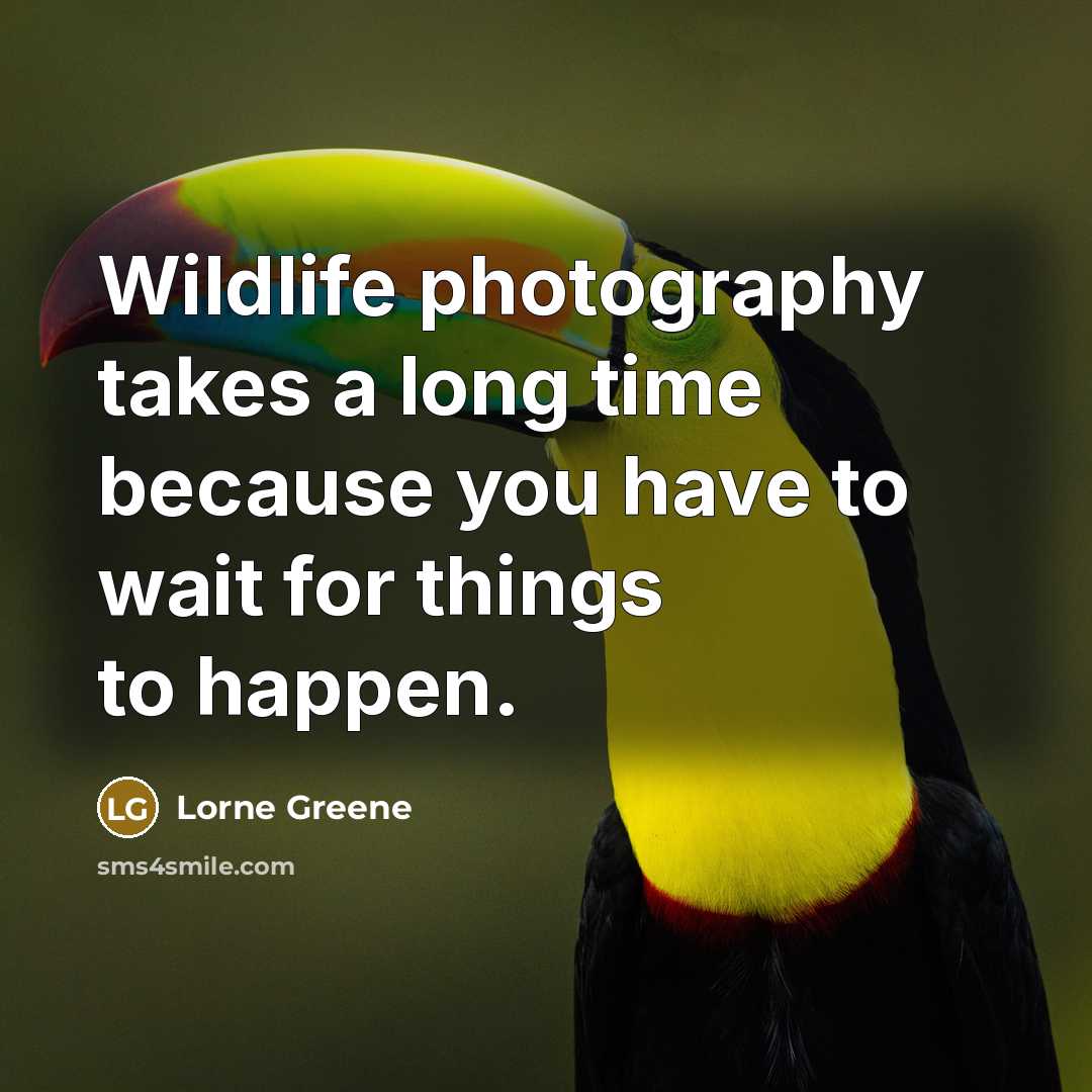“Wildlife photography takes a long time because you have to wait for things to happen.” quote by Lorne Greene