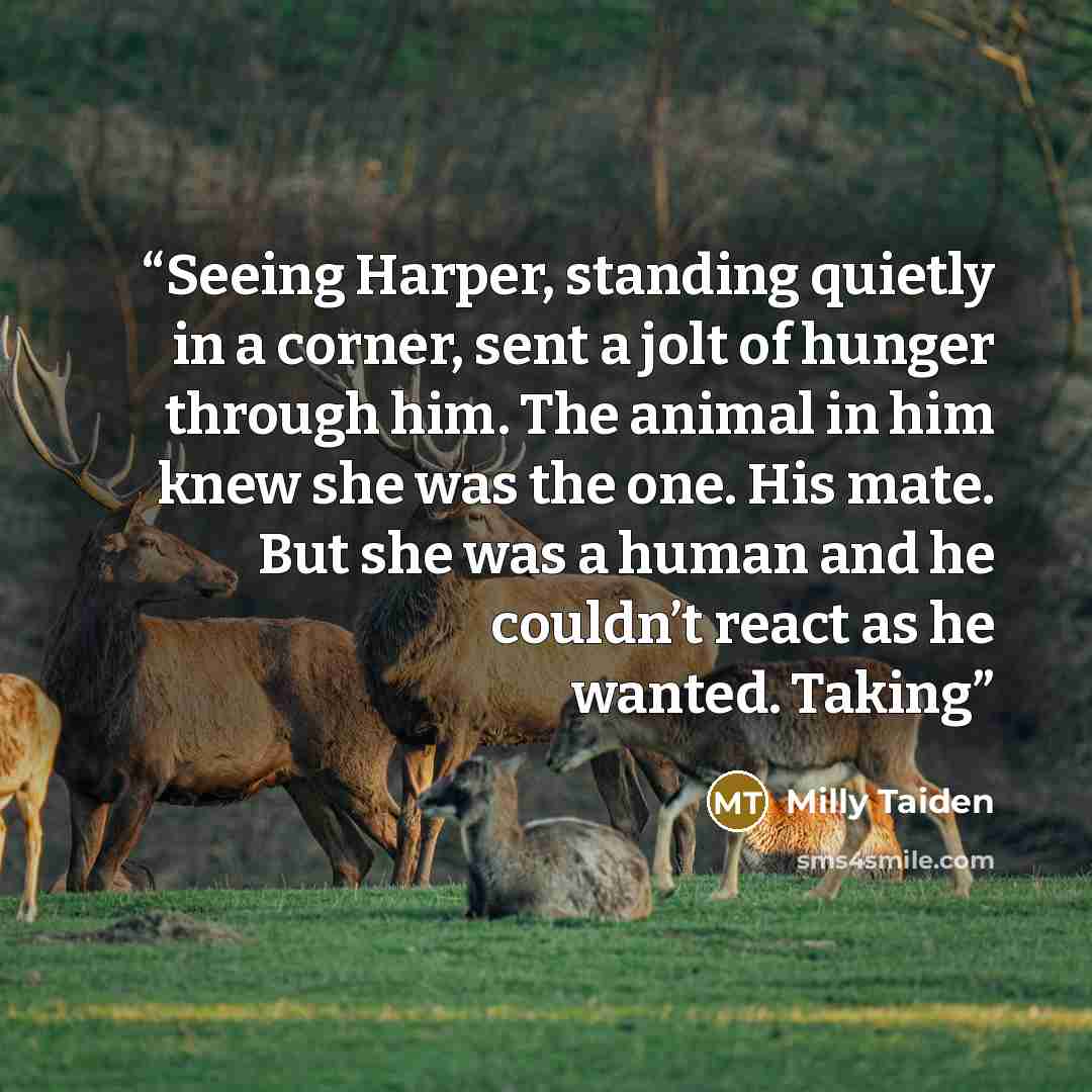 “Seeing Harper, standing quietly in a corner, sent a jolt of hunger through him. The animal in him knew she was the one. His mate. But she was a human and he couldn’t react as he wanted. Taking” quote by Milly Taiden