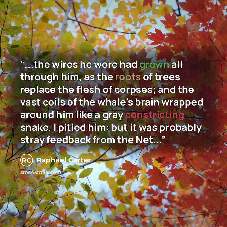 “...the wires he wore had grown all through him, as the roots of trees replace the flesh of corpses; and the vast coils of the whale's brain wrapped around him like a gray constricting snake. I pitied him: but it was probably stray feedback from the Net...” quote by Raphael Carter