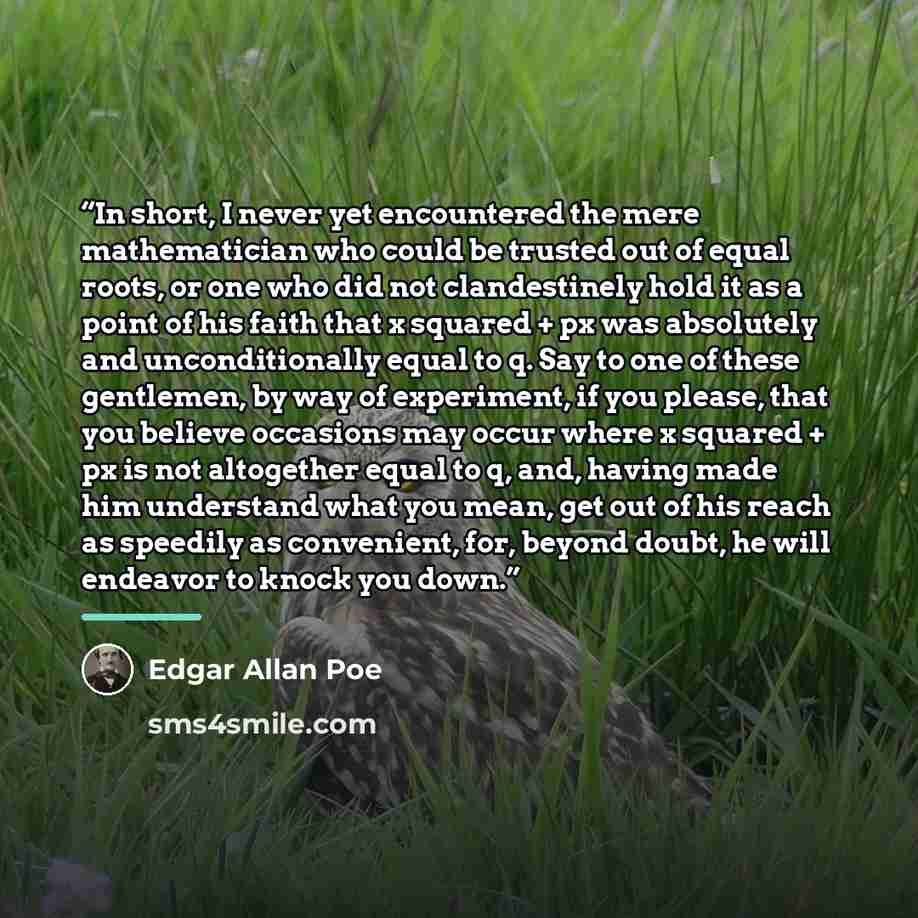 “In short, I never yet encountered the mere mathematician who could be trusted out of equal roots, or one who did not clandestinely hold it as a point of his faith that x squared + px was absolutely and unconditionally equal to q. Say to one of these gentlemen, by way of experiment, if you please…” quote by Edgar Allan Poe