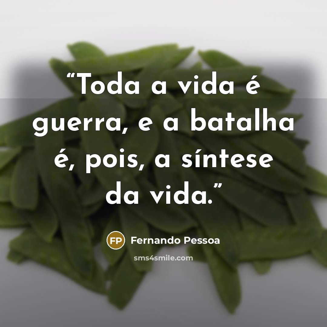 “Toda a vida é guerra, e a batalha é, pois, a síntese da vida.” quote by Fernando Pessoa