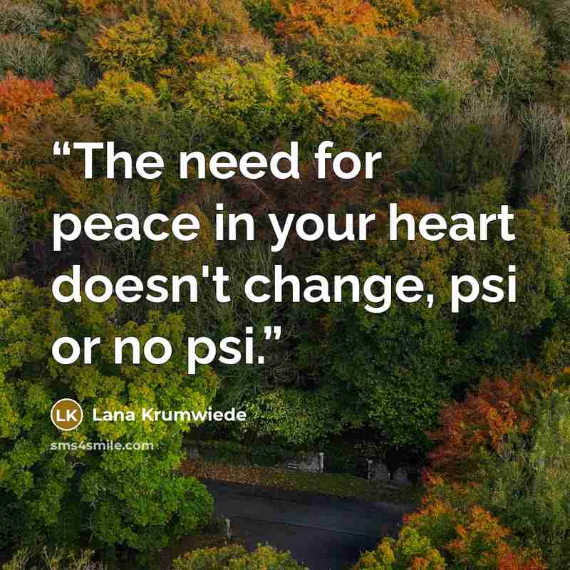 “The need for peace in your heart doesn't change, psi or no psi.” quote by Lana Krumwiede