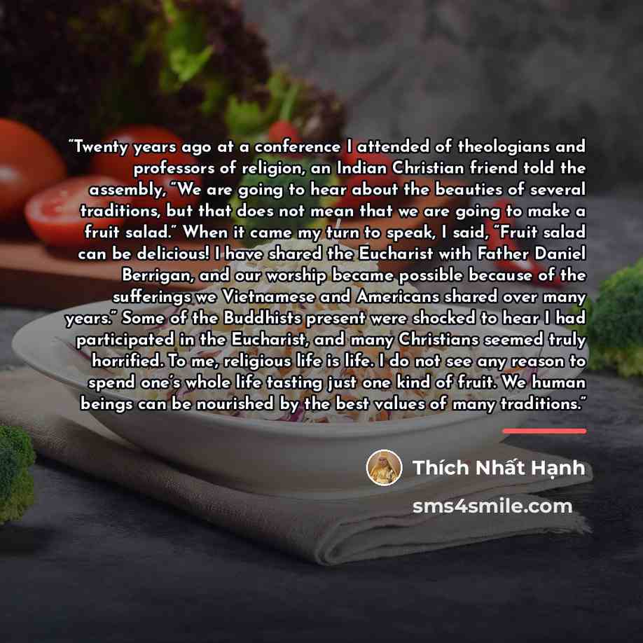 “Twenty years ago at a conference I attended of theologians and professors of religion, an Indian Christian friend told the assembly, “We are going to hear about the beauties of several traditions, but that does not mean that we are going to make a fruit salad.” When it came my turn to speak, I…” quote by Thích Nhất Hạnh