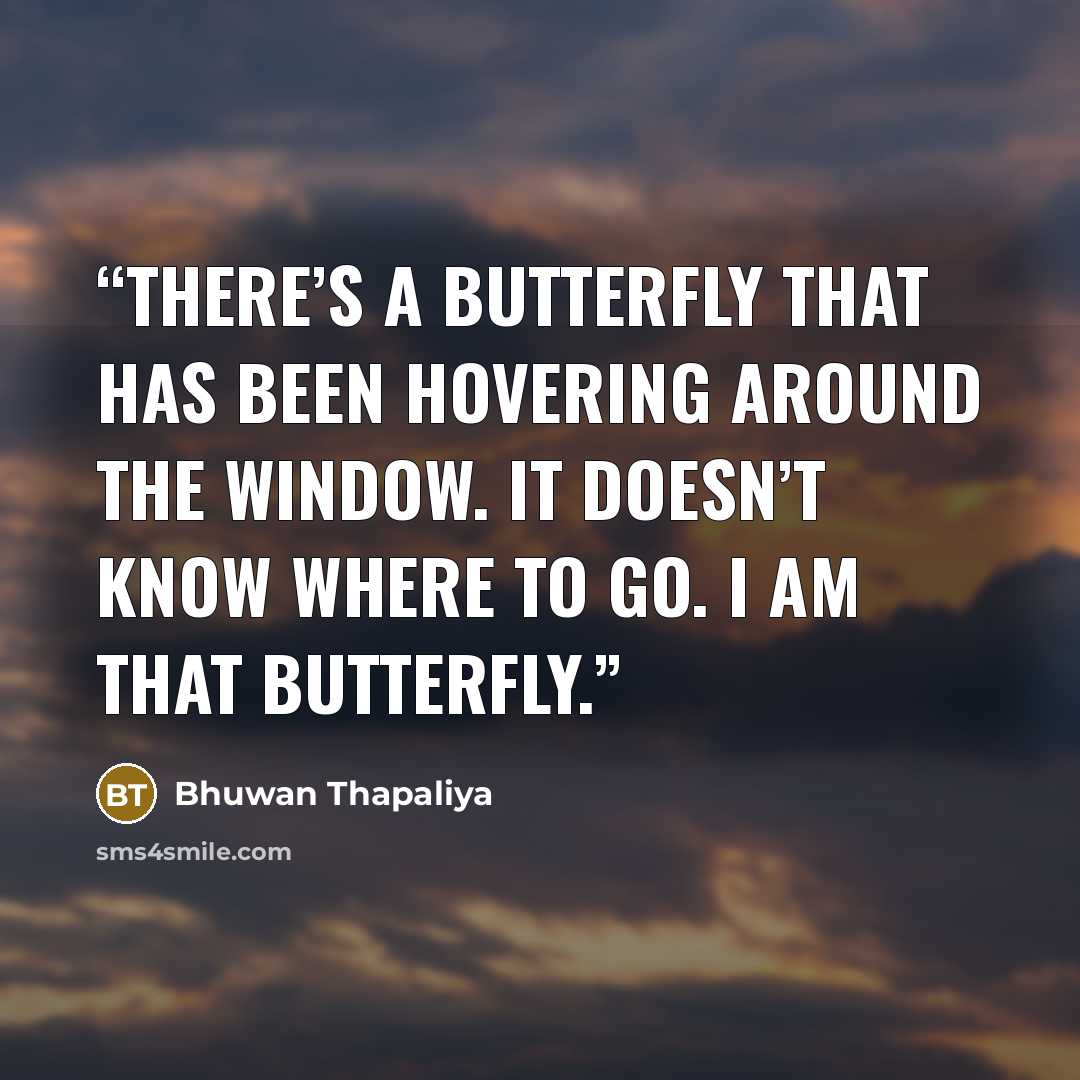“There’s a butterfly that has been hovering around the window. It doesn’t know where to go. I am that butterfly.” quote by Bhuwan Thapaliya