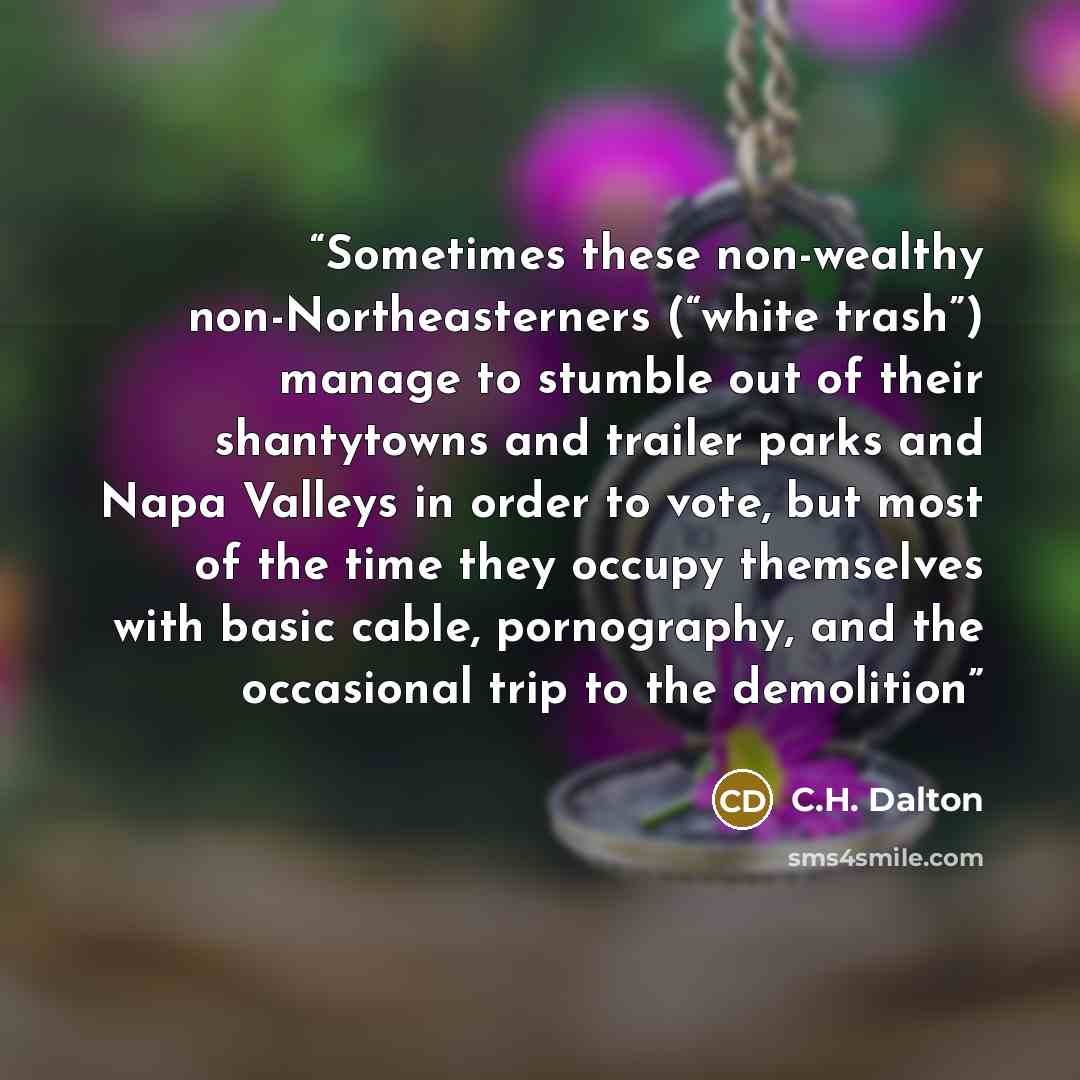 “Sometimes these non-wealthy non-Northeasterners (“white trash”) manage to stumble out of their shantytowns and trailer parks and Napa Valleys in order to vote, but most of the time they occupy themselves with basic cable, pornography, and the occasional trip to the demolition” quote by C.H. Dalton