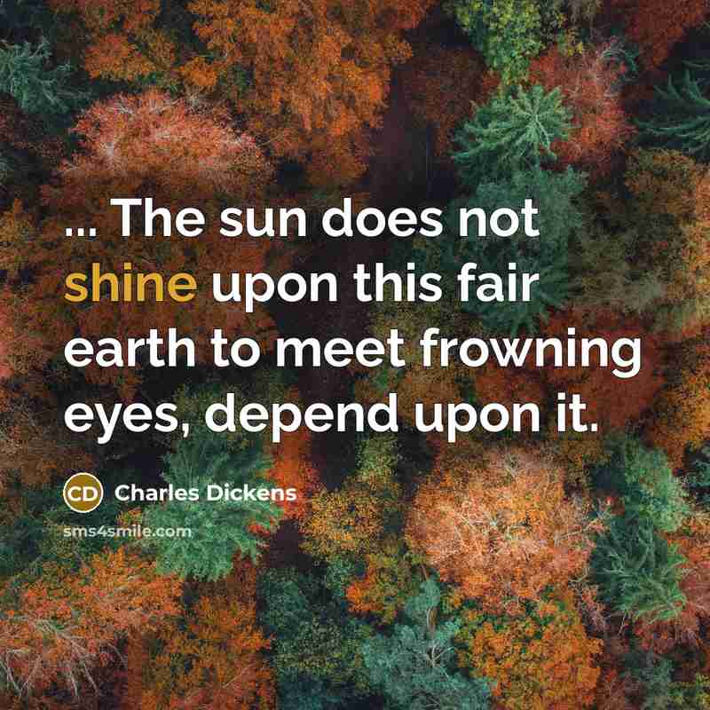 “... The sun does not shine upon this fair earth to meet frowning eyes, depend upon it.” quote by Charles Dickens