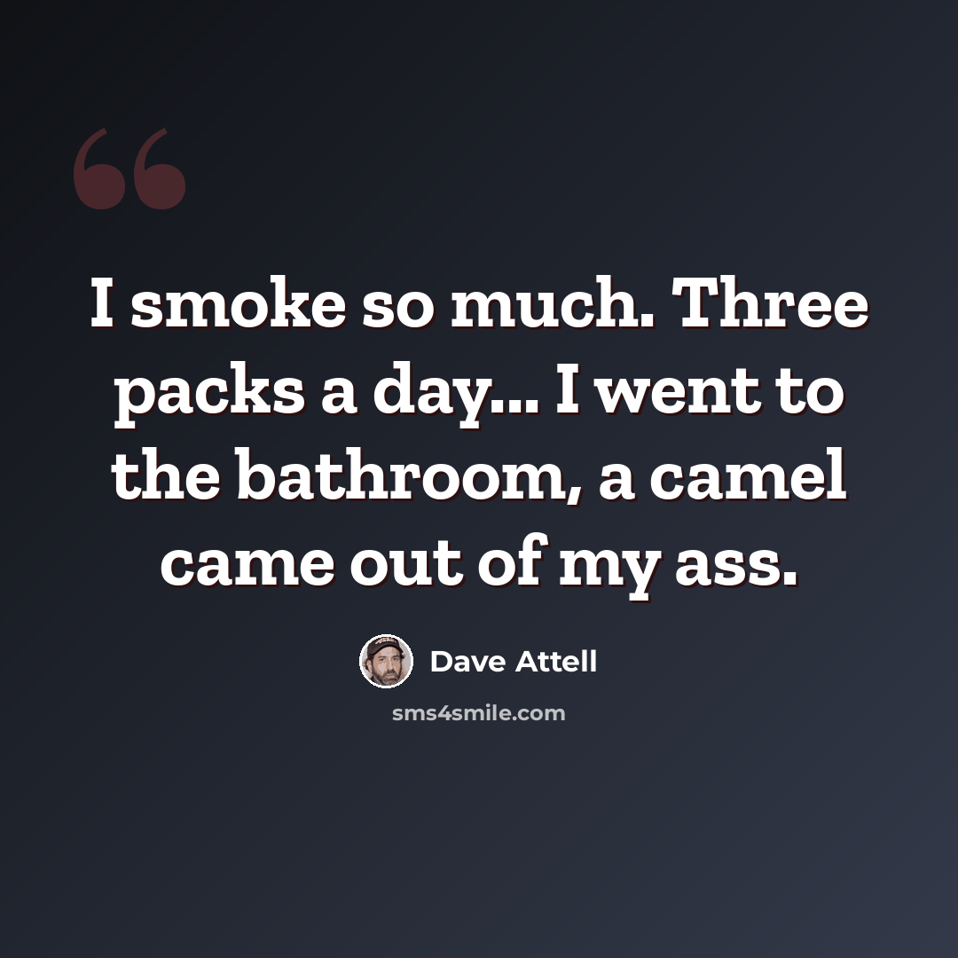 “I smoke so much. Three packs a day... I went to the bathroom, a camel came out of my ass.” quote by Dave Attell