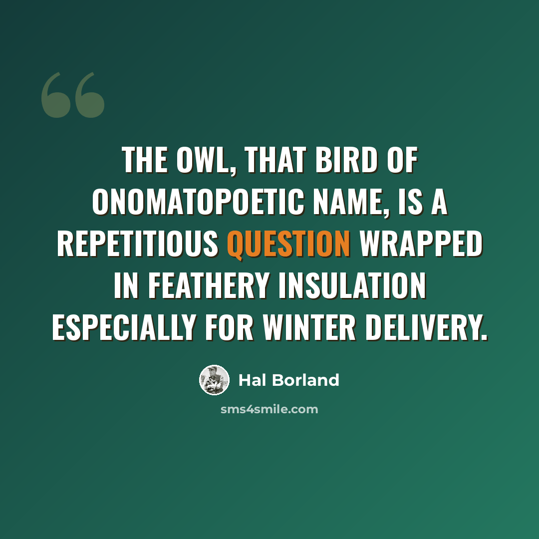 “The owl, that bird of onomatopoetic name, is a repetitious question wrapped in feathery insulation especially for Winter delivery.” quote by Hal Borland