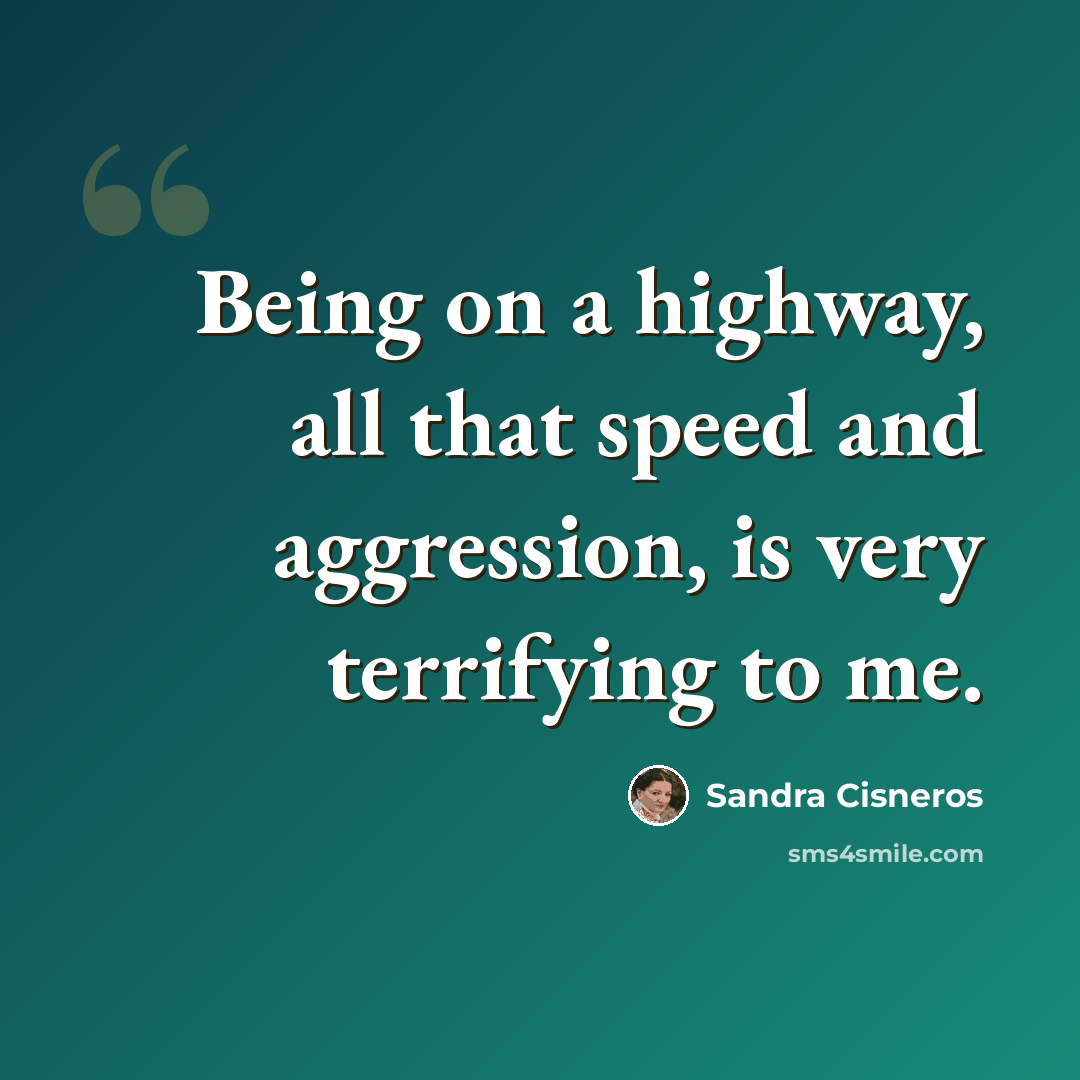 “Being on a highway, all that speed and aggression, is very terrifying to me.” quote by Sandra Cisneros