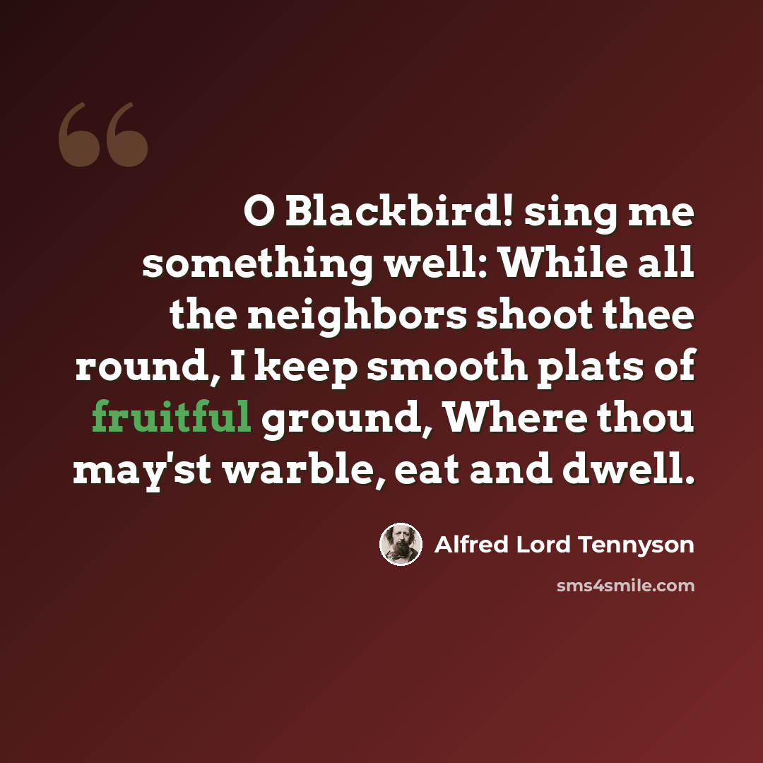 “O Blackbird! sing me something well: While all the neighbors shoot thee round, I keep smooth plats of fruitful ground, Where thou may'st warble, eat and dwell.” quote by Alfred Lord Tennyson