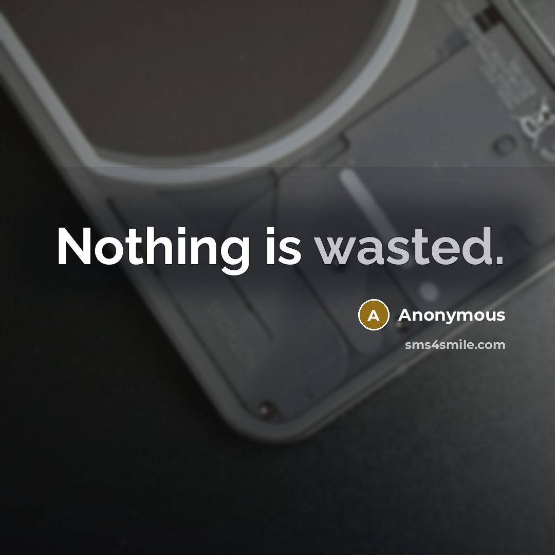 “Nothing is wasted.” quote by Anonymous