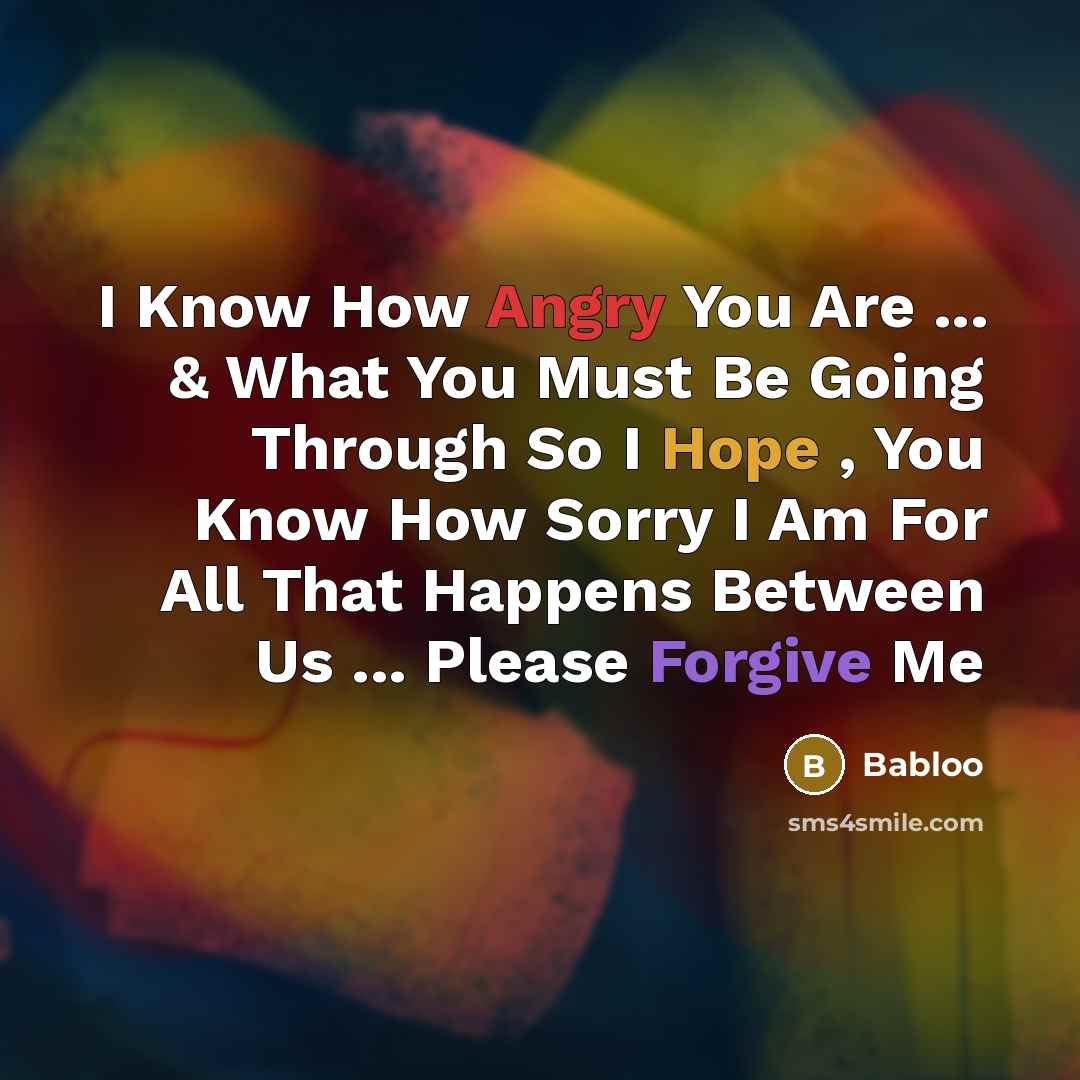 “I Know How Angry You Are ... & What You Must Be Going Through So I Hope , You Know How Sorry I Am For All That Happens Between Us ... Please Forgive Me” quote by Babloo