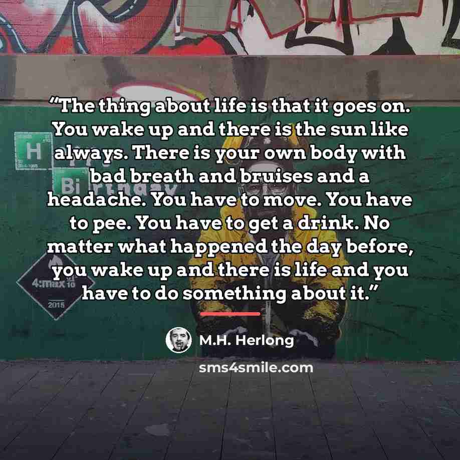 “The thing about life is that it goes on. You wake up and there is the sun like always. There is your own body with bad breath and bruises and a headache. You have to move. You have to pee. You have to get a drink. No matter what happened the day before, you wake up and there is life and you have…” quote by M.H. Herlong