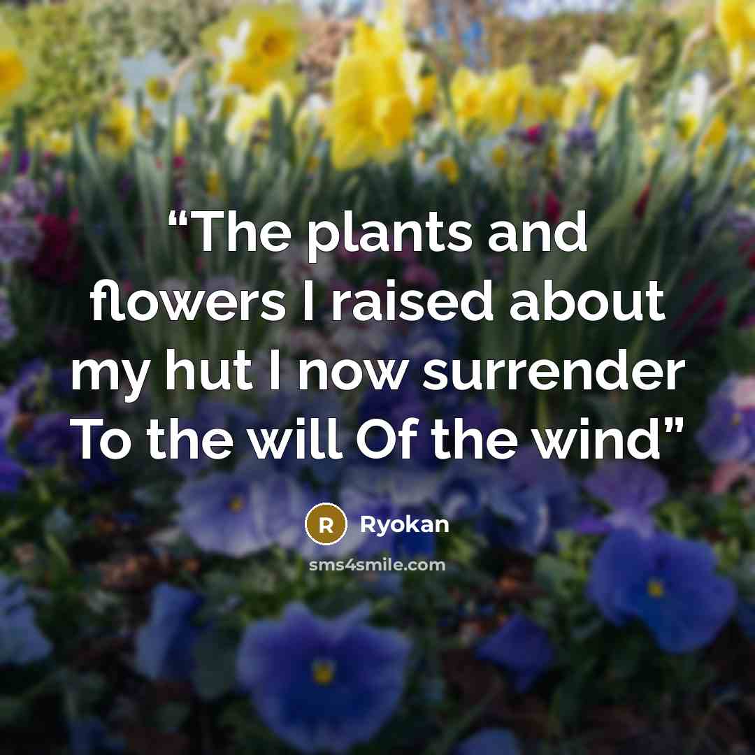 “The plants and flowers I raised about my hut I now surrender To the will Of the wind” quote by Ryokan
