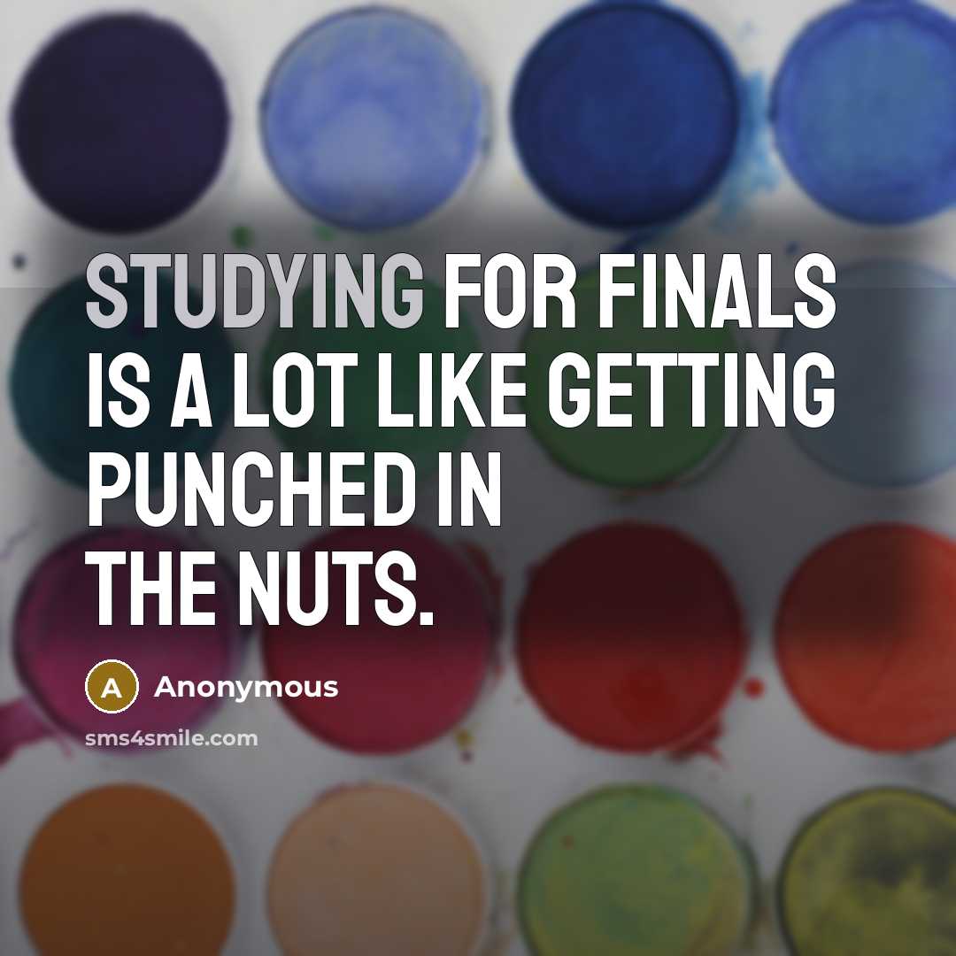 “Studying for finals is a lot like getting punched in the nuts.” quote by Anonymous
