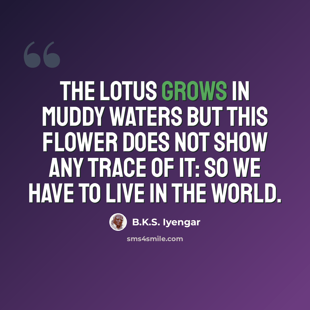 “The lotus grows in muddy waters but this flower does not show any trace of it: So we have to live in the world.” quote by B.K.S. Iyengar