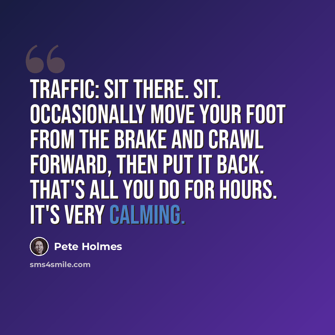 “Traffic: Sit there. Sit. Occasionally move your foot from the brake and crawl forward, then put it back. That's all you do for hours. It's very calming.” quote by Pete Holmes