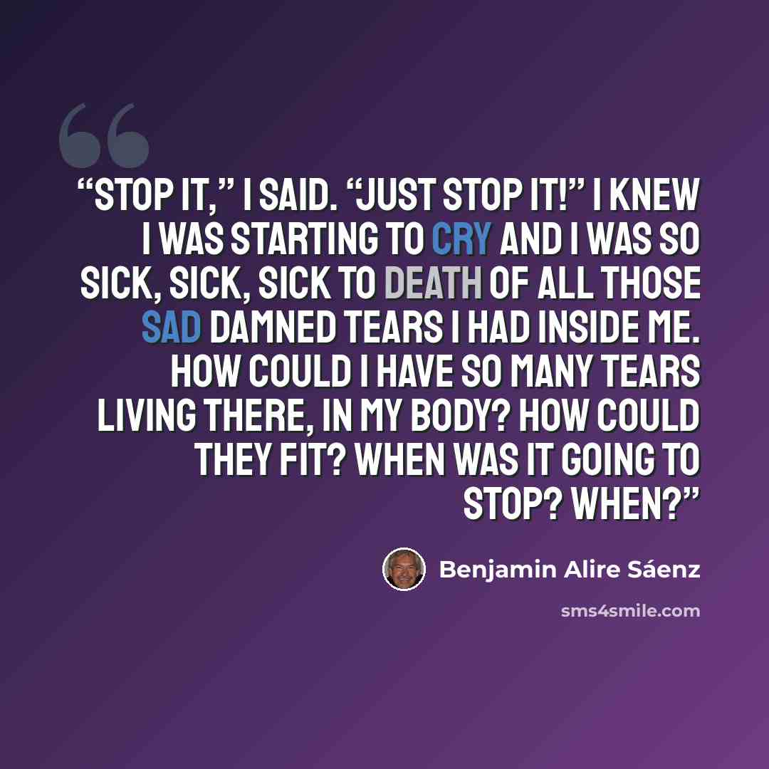 “Stop it,” I said. “Just stop it!” I knew I was starting to cry and I was so sick, sick, sick to death of all those sad damned tears I had inside me. How could I have so many tears living there, in my body? How could they fit? When was it going to stop? When?” quote by Benjamin Alire Sáenz
