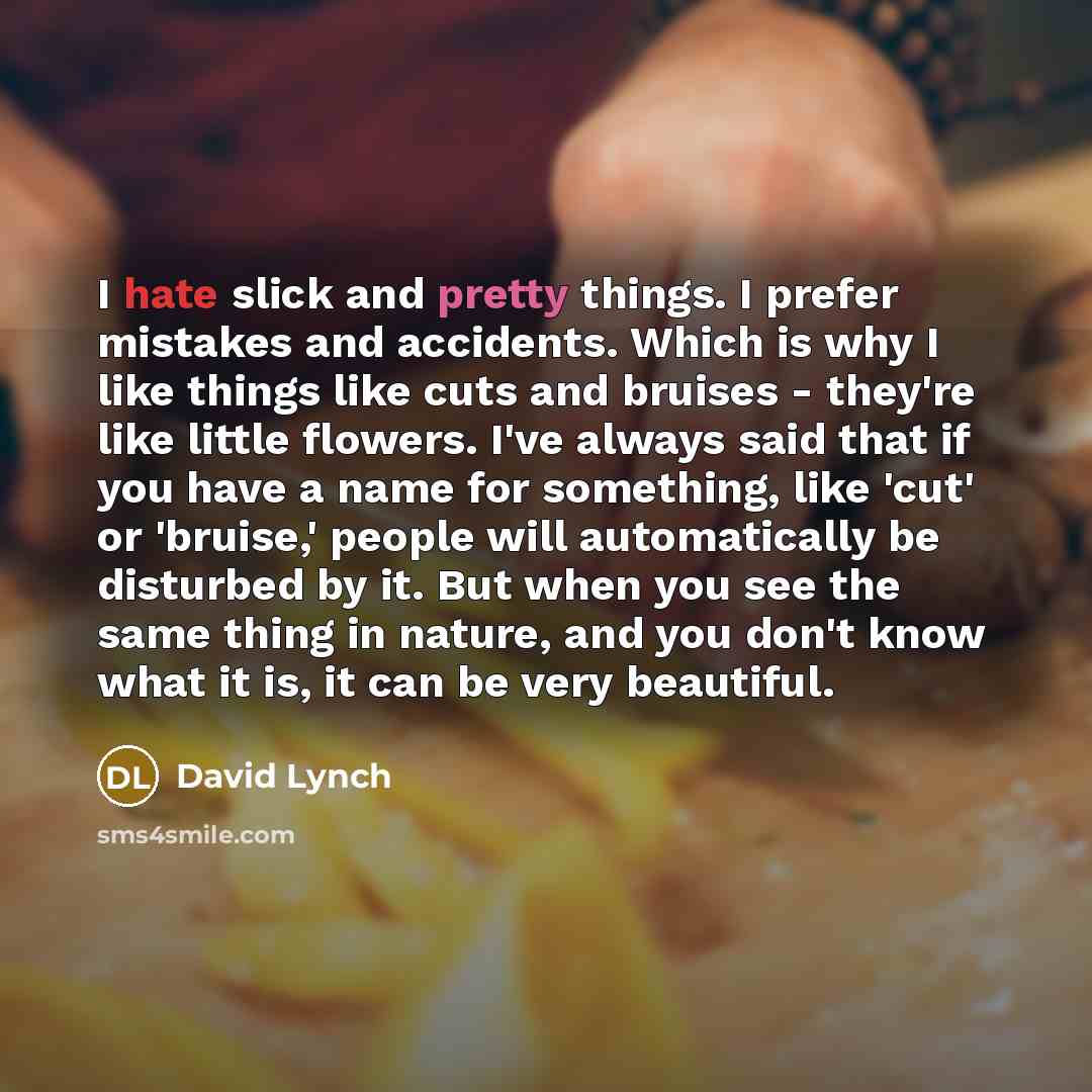 “I hate slick and pretty things. I prefer mistakes and accidents. Which is why I like things like cuts and bruises - they're like little flowers. I've always said that if you have a name for something, like 'cut' or 'bruise,' people will automatically be disturbed by it. But when you see the same…” quote by David Lynch