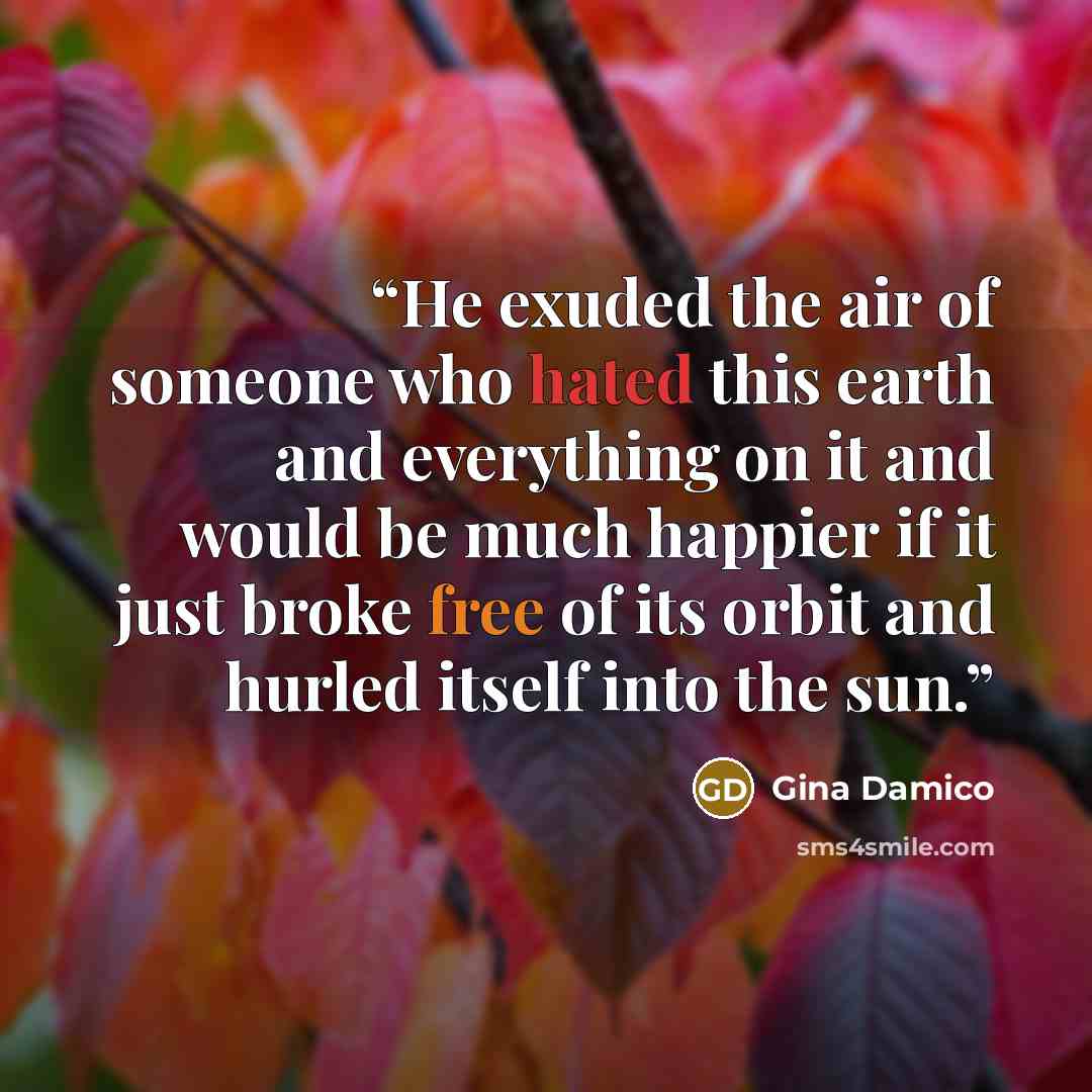 “He exuded the air of someone who hated this earth and everything on it and would be much happier if it just broke free of its orbit and hurled itself into the sun.” quote by Gina Damico
