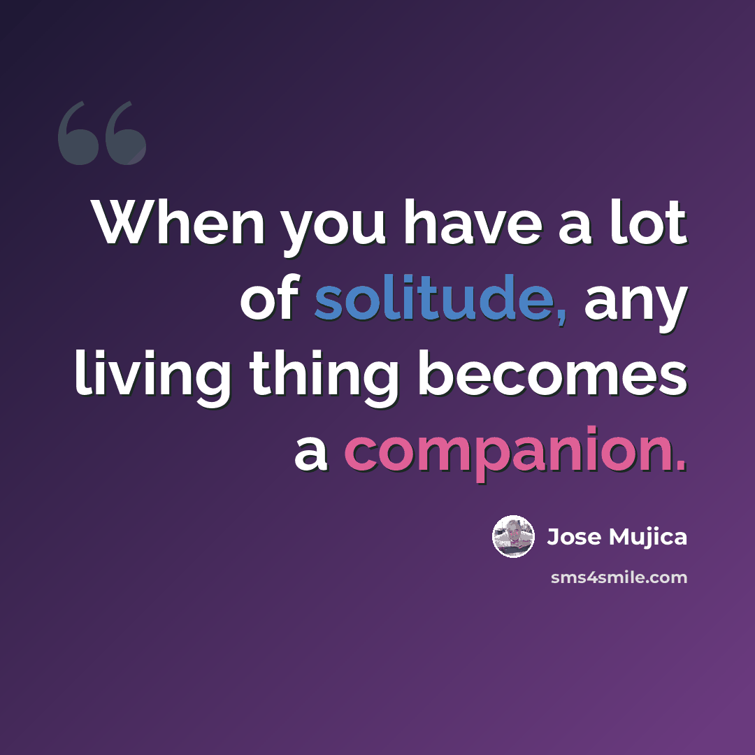 “When you have a lot of solitude, any living thing becomes a companion.” quote by Jose Mujica
