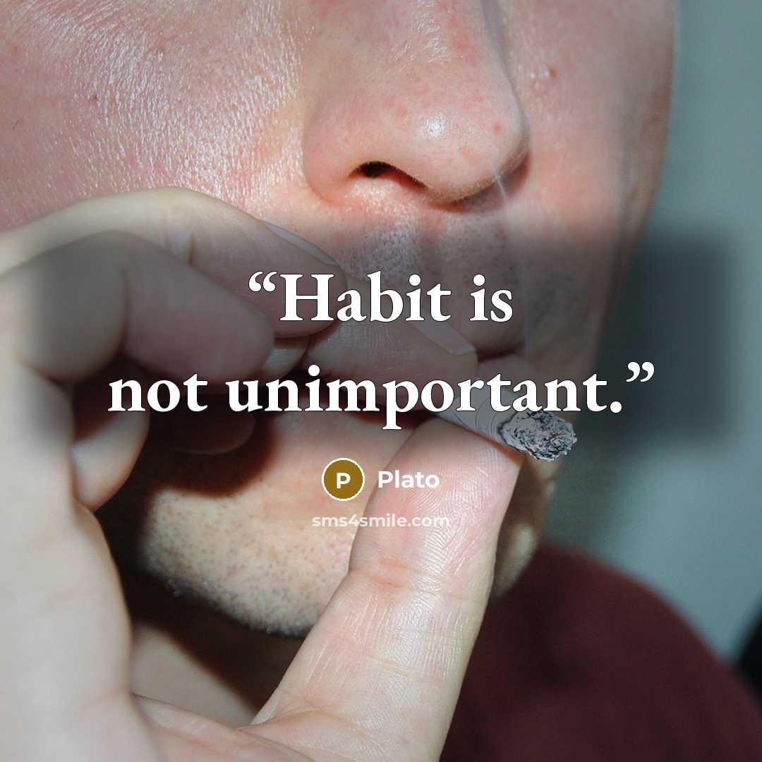 “Habit is not unimportant.” quote by Plato