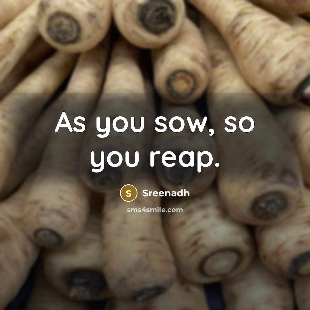 “As you sow, so you reap.” quote by Sreenadh
