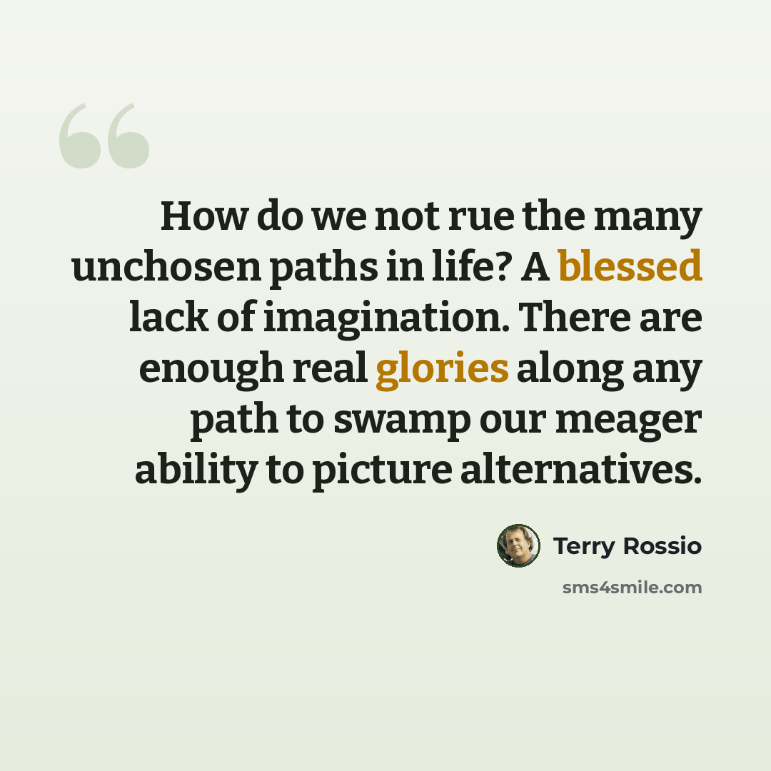 “How do we not rue the many unchosen paths in life? A blessed lack of imagination. There are enough real glories along any path to swamp our meager ability to picture alternatives.” quote by Terry Rossio