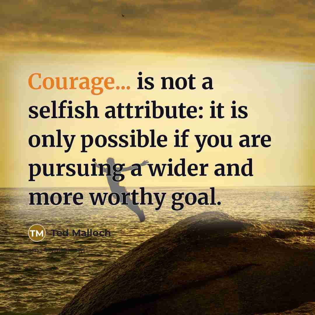 “Courage... is not a selfish attribute: it is only possible if you are pursuing a wider and more worthy goal.” quote by Ted Malloch