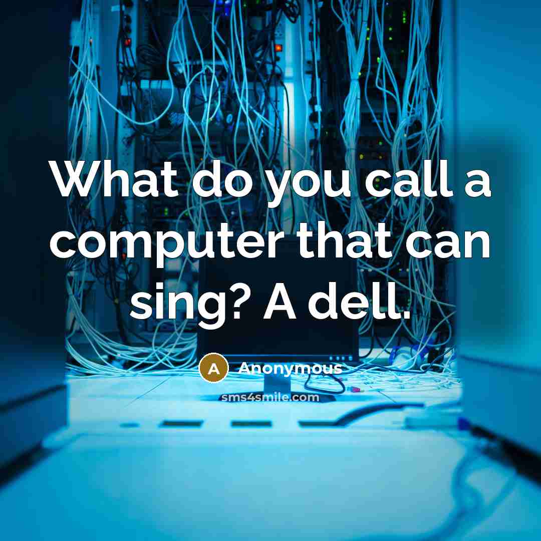 “What do you call a computer that can sing? A dell.” quote by Anonymous